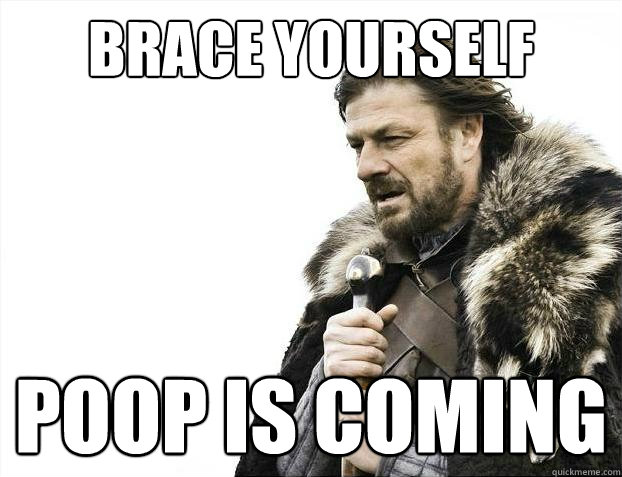 Brace yourself Poop is coming  Brace Yourselves - Borimir