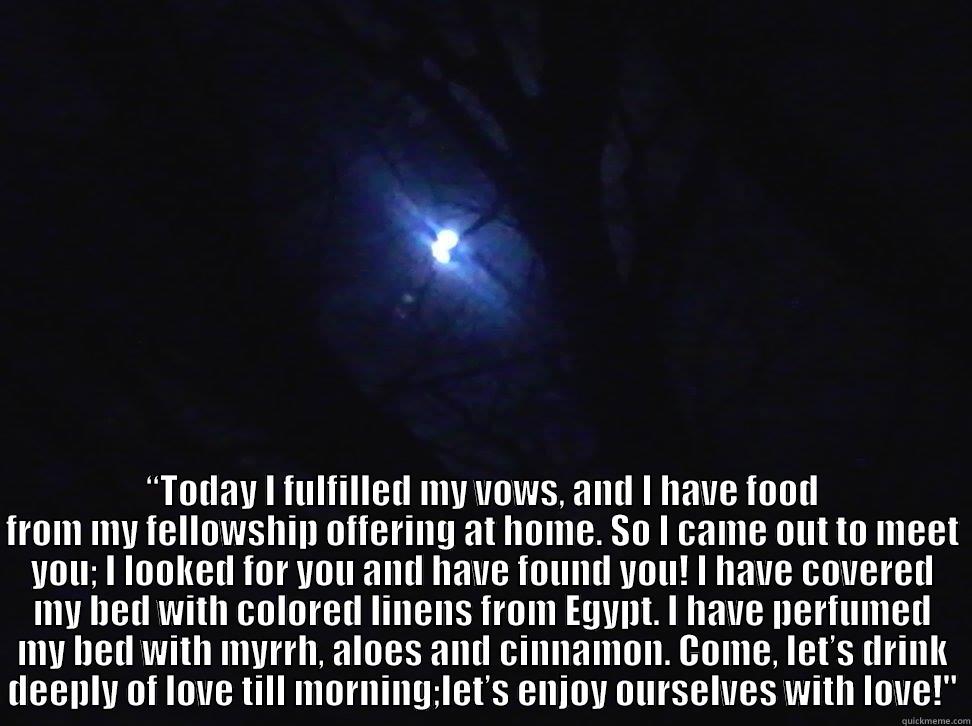  “TODAY I FULFILLED MY VOWS, AND I HAVE FOOD FROM MY FELLOWSHIP OFFERING AT HOME. SO I CAME OUT TO MEET YOU; I LOOKED FOR YOU AND HAVE FOUND YOU! I HAVE COVERED MY BED WITH COLORED LINENS FROM EGYPT. I HAVE PERFUMED MY BED WITH MYRRH, ALOES AND CINNAMON. C Misc