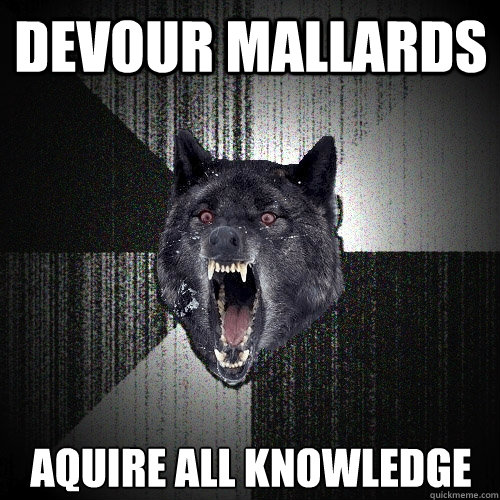 Devour mallards Aquire all knowledge  Insanity Wolf