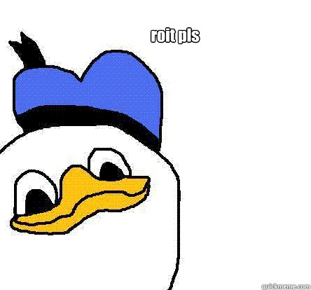 roit pls  