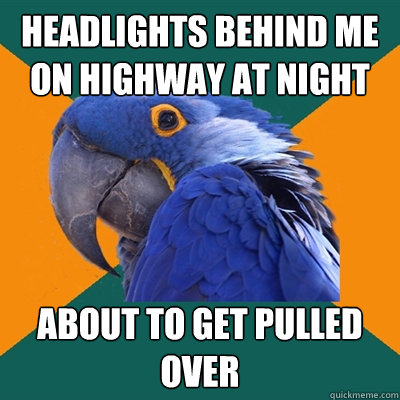 headlights behind me on highway at night about to get pulled over  Paranoid Parrot