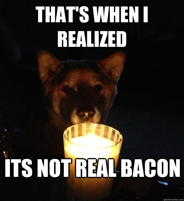 THAT'S WHEN I REALIZED Its not real bacon - THAT'S WHEN I REALIZED Its not real bacon  Scary Story Dog