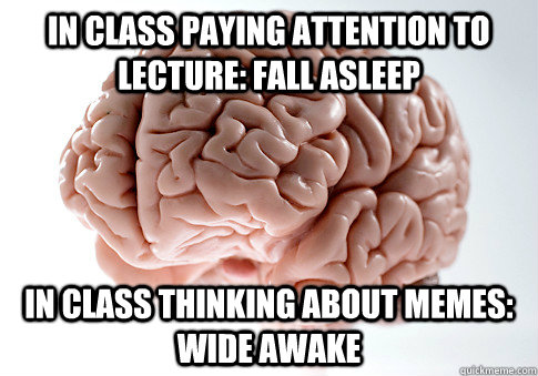 In class paying attention to lecture: Fall asleep  In class thinking about memes: Wide Awake  Scumbag Brain