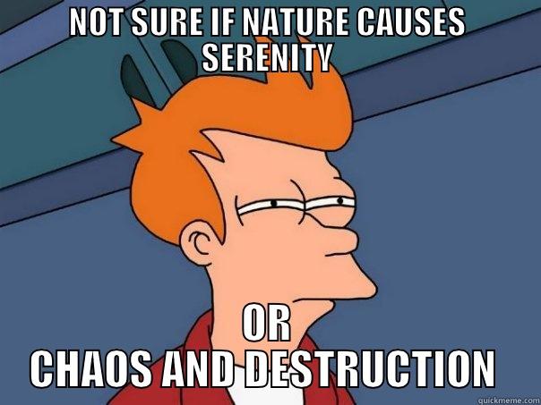 NOT SURE IF NATURE CAUSES SERENITY OR CHAOS AND DESTRUCTION  Futurama Fry