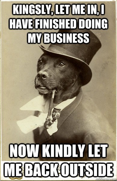 Kingsly, let me in, I have finished doing my business now kindly let me back outside  Old Money Dog