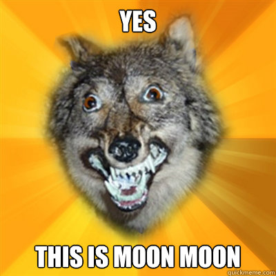 Yes This is Moon Moon - Yes This is Moon Moon  Retarded Wolf