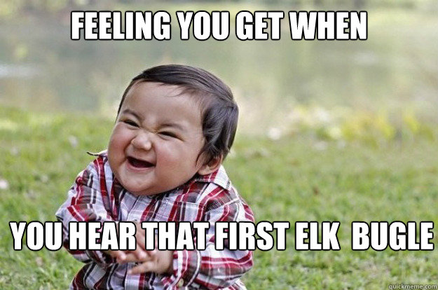 Feeling you get when you hear that first elk  bugle  Evil Baby