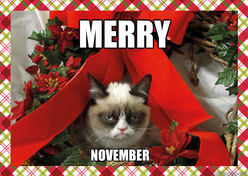 Merry NOVEMBER  merry christmas