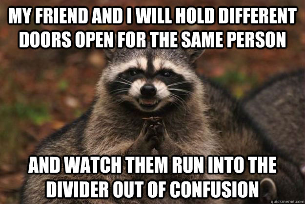 My friend and I will hold different doors open for the same person and watch them run into the divider out of confusion - My friend and I will hold different doors open for the same person and watch them run into the divider out of confusion  Evil Plotting Raccoon
