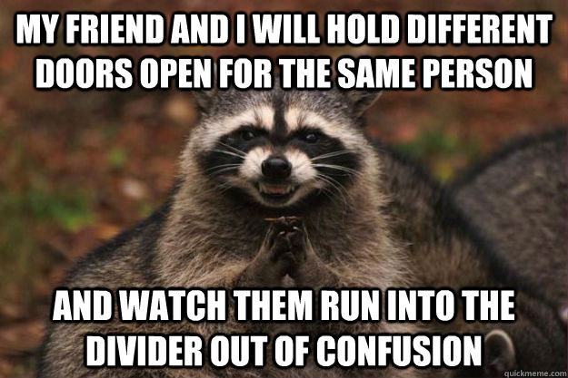 My friend and I will hold different doors open for the same person and watch them run into the divider out of confusion  Evil Plotting Raccoon