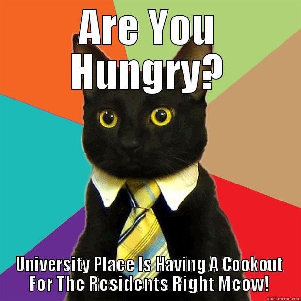 ARE YOU HUNGRY? UNIVERSITY PLACE IS HAVING A COOKOUT FOR THE RESIDENTS RIGHT MEOW! Business Cat