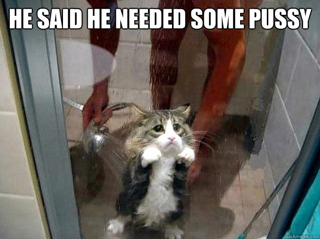 he said he needed some pussy - he said he needed some pussy  Shower kitty