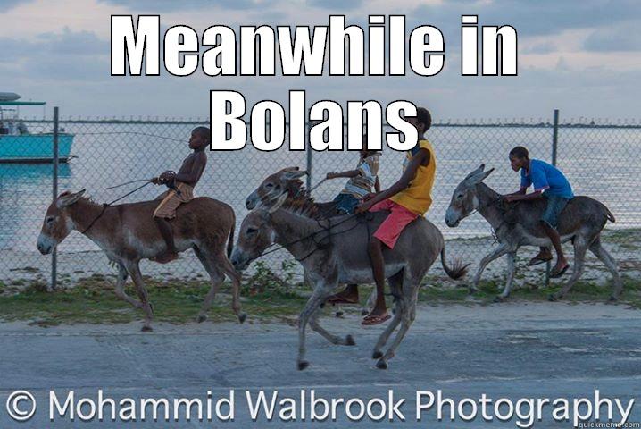 MEANWHILE IN BOLANS  Misc
