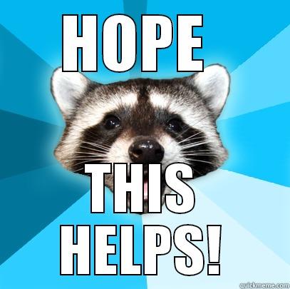 HOPE  THIS HELPS! Lame Pun Coon