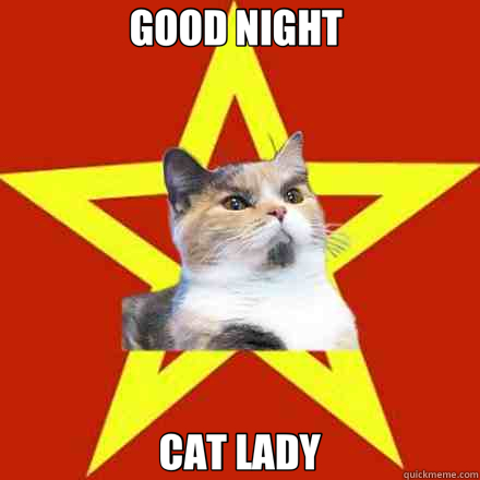 GOOD NIGHT  CAT LADY  Lenin Cat