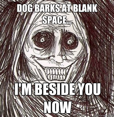 Dog barks at blank space... I'm beside you now  