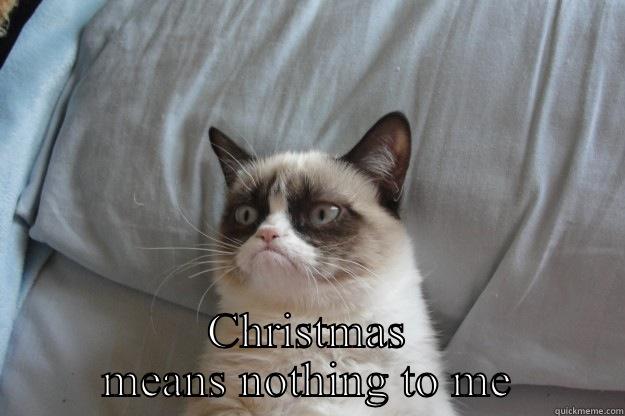  CHRISTMAS MEANS NOTHING TO ME Grumpy Cat