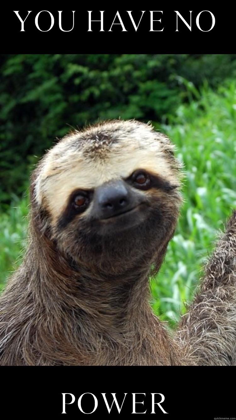 YOU HAVE NO POWER Success Kid