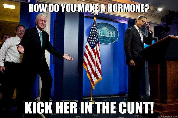 How do you make a hormone? Kick her in the cunt!  90s were better Clinton