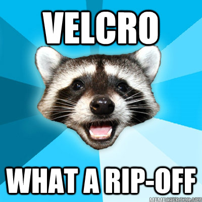 Velcro what a rip-off   Lame Pun Raccoon