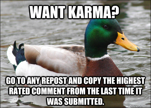 Want Karma? Go to any repost and copy the highest rated comment from the last time it was submitted.  Actual Advice Mallard
