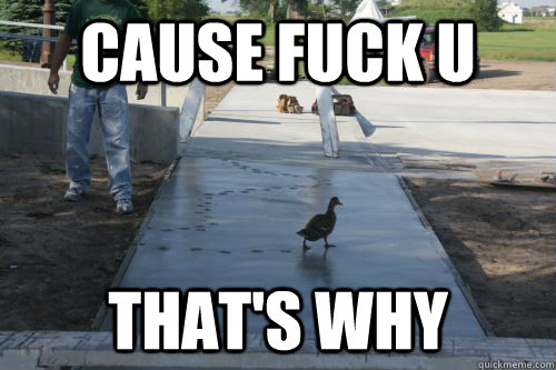 cause fuck u that's why  duck