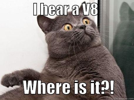 I hear a V8! -             I HEAR A V8                      WHERE IS IT?!      conspiracy cat