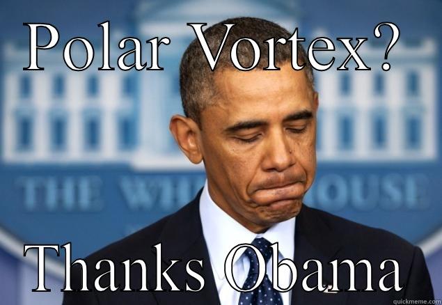 POLAR VORTEX? THANKS OBAMA Misc