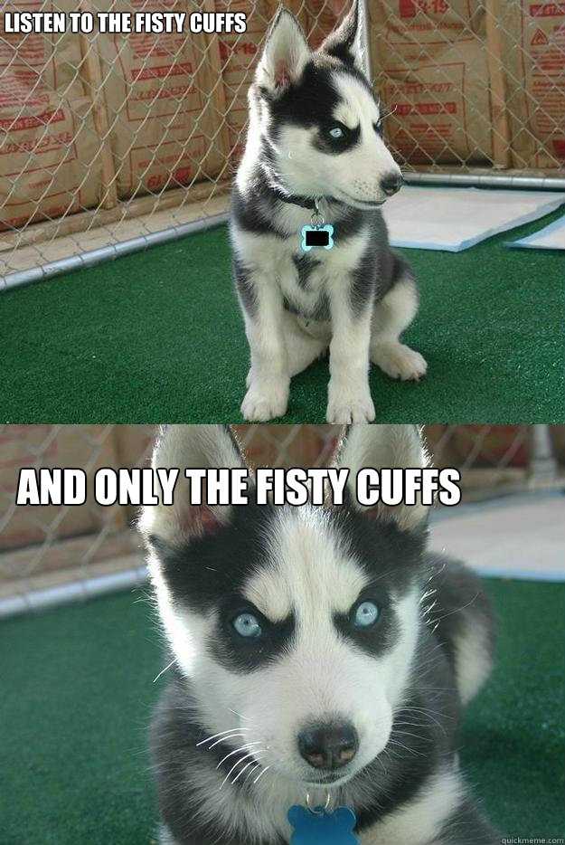 listen to the fisty cuffs and only the fisty cuffs  Insanity puppy
