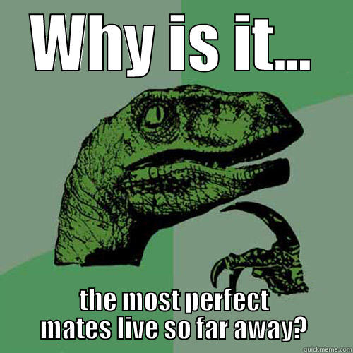 WHY IS IT... THE MOST PERFECT MATES LIVE SO FAR AWAY? Philosoraptor
