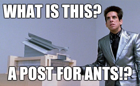 WHAT is this? a post for ants!?  School for ants
