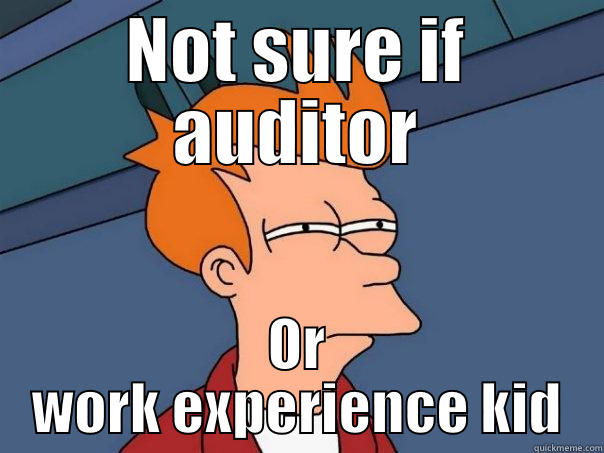 NOT SURE IF AUDITOR OR WORK EXPERIENCE KID Futurama Fry