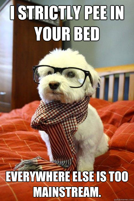 I strictly pee in your bed everywhere else is too mainstream. - I strictly pee in your bed everywhere else is too mainstream.  Hipster Dog