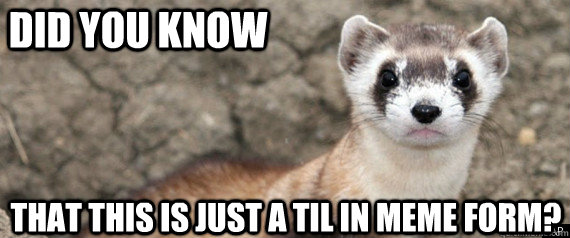 Did you know that this is just a TIL in meme form?  Fun-Fact-Ferret