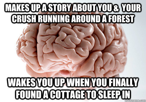 MAKES UP A STORY ABOUT YOU &  YOUR CRUSH RUNNING AROUND A FOREST WAKES YOU UP WHEN YOU FINALLY FOUND A COTTAGE TO SLEEP IN   Scumbag Brain