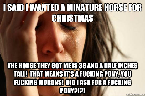 i said i wanted a minature horse for christmas the horse they got me is 38 and a half inches tall!  That means it's a fucking pony, you fucking morons!  Did I ask for a fucking pony?!?!  First World Problems