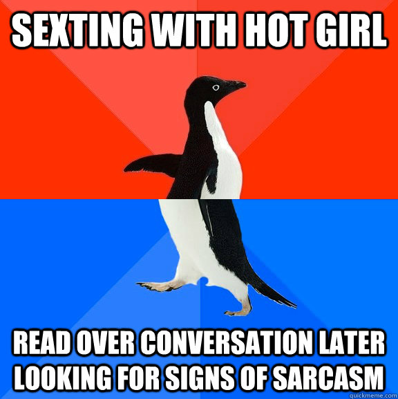 sexting with hot girl read over conversation later looking for signs of sarcasm  Socially Awesome Awkward Penguin