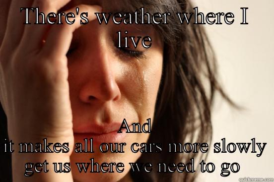 THERE'S WEATHER WHERE I LIVE AND IT MAKES ALL OUR CARS MORE SLOWLY GET US WHERE WE NEED TO GO  First World Problems