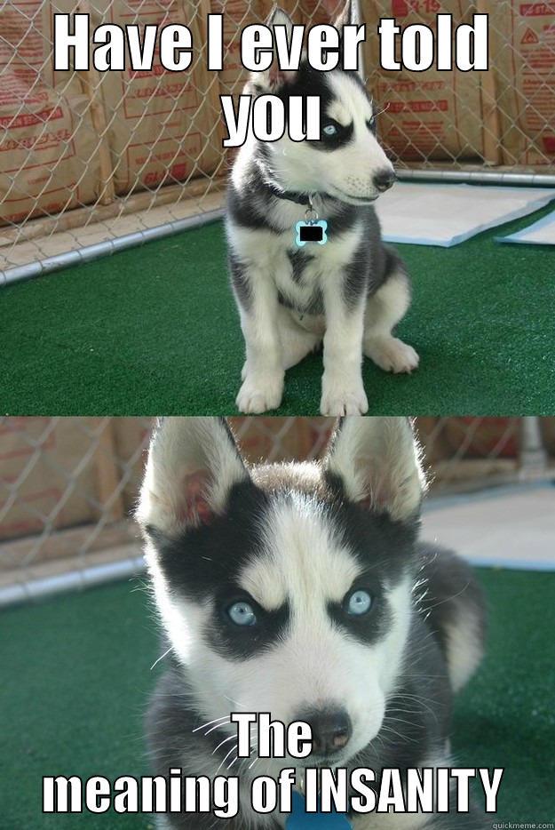 A Husky named Vaas - HAVE I EVER TOLD YOU THE MEANING OF INSANITY Insanity puppy