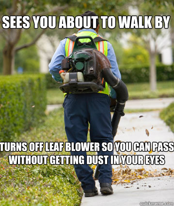 sees you about to walk by turns off leaf blower so you can pass without getting dust in your eyes - sees you about to walk by turns off leaf blower so you can pass without getting dust in your eyes  Mexican Leafblower
