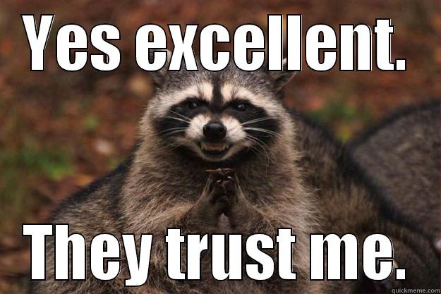yess i wikll - YES EXCELLENT. THEY TRUST ME. Evil Plotting Raccoon
