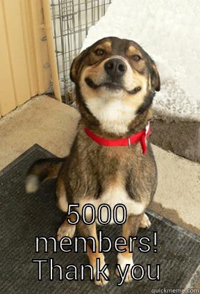  5000 MEMBERS! THANK YOU Good Dog Greg