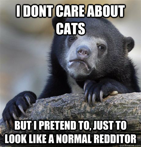 I DONT CARE ABOUT CATS BUT I PRETEND TO, just to look like a normal redditor  Confession Bear