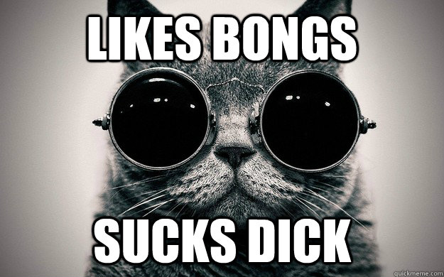 LIKES BONGS SUCKS DICK - LIKES BONGS SUCKS DICK  Morpheus Cat Facts