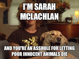 I'm Sarah McLachlan  And you're an asshole for letting poor innocent animals die  Sarah Mclachlan