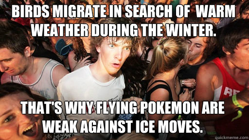Birds migrate in search of  warm weather during the winter.
 That's why flying pokemon are weak against ice moves.  Sudden Clarity Clarence
