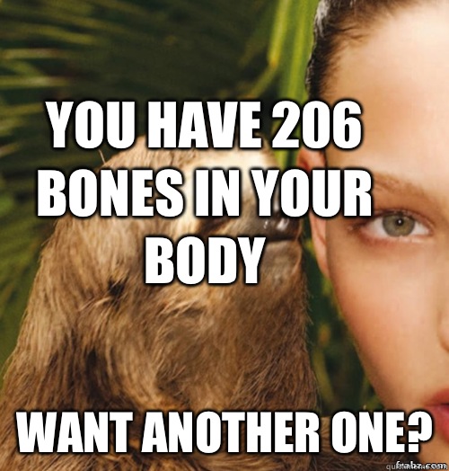 You have 206 bones in your body Want another one?  rape sloth