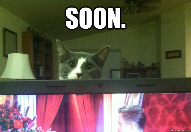 soon. - soon.  sooncat
