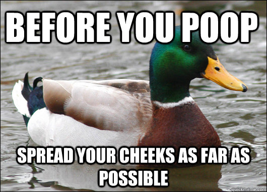 before you poop spread your cheeks as far as possible  Actual Advice Mallard