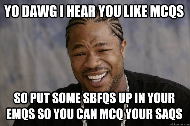 YO DAWG I HEAR YOU like mcqs so put some sbfqs up in your emqs so you can mcq your saqs  Xzibit meme
